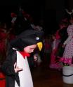 Záber na masku malého pinguina Záber na masku malého pinguina