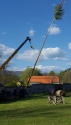 30.4.2016 Stavanie mája na ihrisku 30.4.2016 Stavanie mája na ihrisku