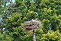 18.6.2017 Návšteva priateľov z družobnej obce Olšany - Klášterec 18.6.2017 Návšteva priateľov z družobnej obce Olšany - Klášterec