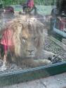 Výlet do ZOO Bojnice Výlet do ZOO Bojnice