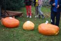 21.10.2017 Gajdlanské hodové trhy 21.10.2017 Gajdlanské hodové trhy